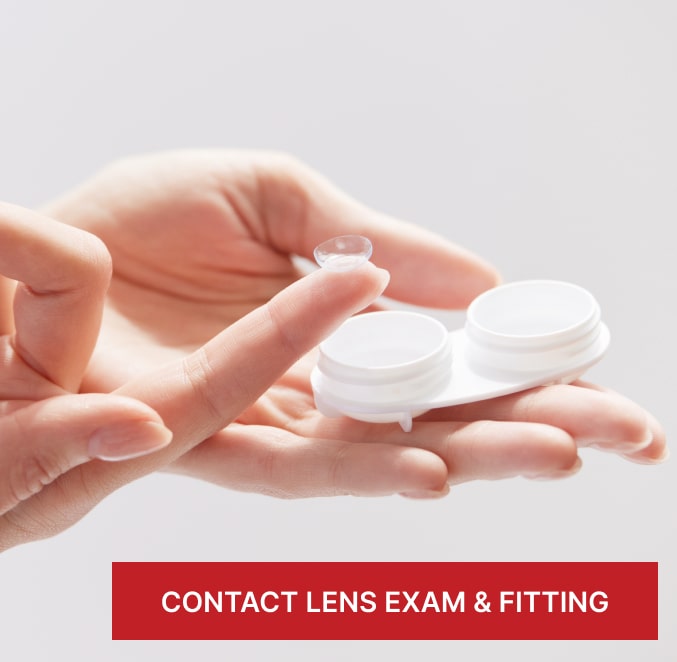 mega menu contact lenses image